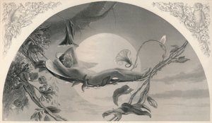 Ariel Burza, ok. 1870 r.