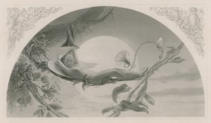 Ariel, Burza