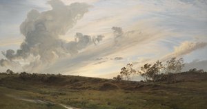 Uma noite selvagem depois da chuva, Yorkshirepolish autorstwa Henry Moore
