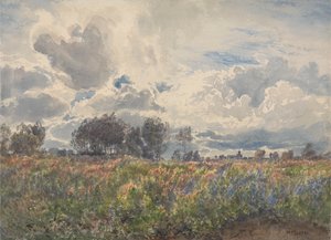 Deszczowy czerwiec, Pikardia autorstwa Henry Moore