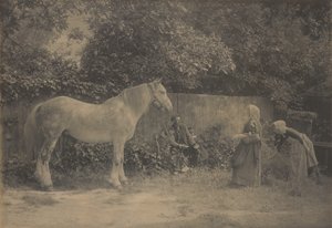 [Old Dapple] autorstwa Henry Peach Robinson