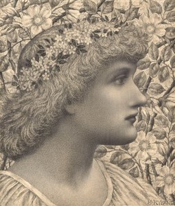 Florimel (ołówek i kreda na papierze) autorstwa Henry Ryland
