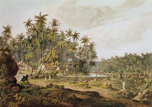 Widok w pobliżu Point du Galle, Cejlon, rytowany przez Daniela Havella (1785-1826) opublikowany w 1809 roku autorstwa Henry Salt