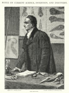 Profesor (grafika)