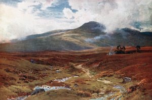 Wrzosowisko w pobliżu Killin, Perthshire (kolorowa litografia)