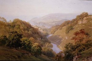 Widok na Moorland w pobliżu zamku Barnard, hrabstwo Durham