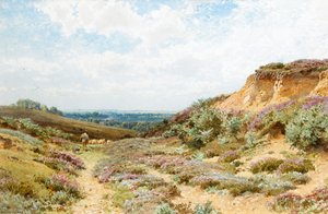 Heather na Surrey Heath (wc na papierze)