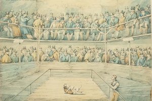 Walka psów w Westminster Pitt autorstwa Henry Thomas Alken