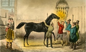 Baron słynie z Mokrego, 1838 autorstwa Henry Thomas Alken