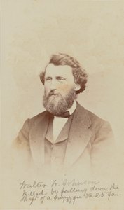 Carte-de-visit portret Waltera W. Johnsona, 1868.