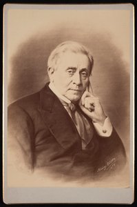 Portret Józefa Henryka 1797-1878, 1879.
