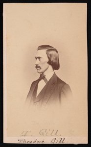 Portret Theodore Nicholasa Gilla 1837-1914, w latach 1865-1870. autorstwa Henry Ulke