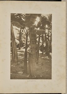 Towarzysze autorstwa Henry W. Cave
