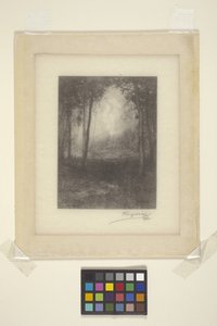 W Adirondacks (atrament) autorstwa Henry Wolf