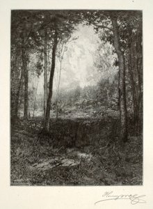 W Adirondacks autorstwa Henry Wolf