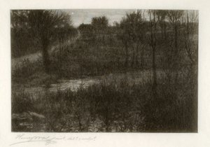 Gwiazda Wieczorna (motyw znaleziony w Catskills) autorstwa Henry Wolf
