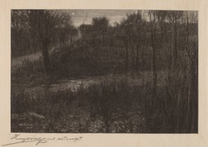 Wieczorna Gwiazda autorstwa Henry Wolf