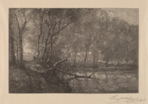 Staw Młyński autorstwa Henry Wolf