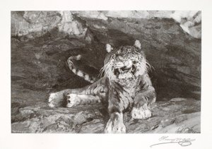 Tygrys autorstwa Henry Wolf