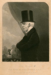 Książę Wellington autorstwa Henry de Daubrava