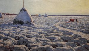 Litewskie bagna pod śniegiem. autorstwa Henryk Weyssenhoff