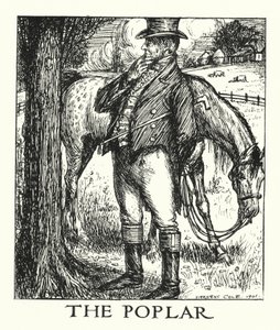 Ingoldsby Legends: Topola (litografia) autorstwa Herbert Cole