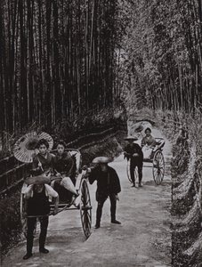 Bambusowa Aleja w Kioto (zdjęcie czarno-białe) autorstwa Herbert Ponting