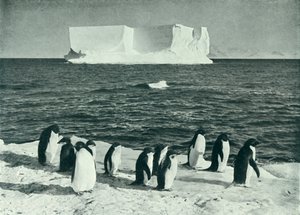 Berg Drifting w McMurdo Sound, c19101913, 1913. autorstwa Herbert Ponting