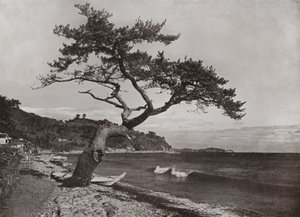 Atami (zdjęcie czarno-białe) autorstwa Herbert Ponting