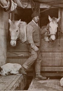 Kapitan Oates i kucyki na Terra Nova, c1910-1912, 1913. autorstwa Herbert Ponting