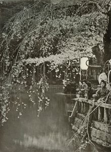 Czas kwitnienia wiśni w Japonii, 1910. autorstwa Herbert Ponting