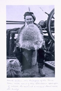 David Lille, biolog „Terra Nova” z kilkoma gąbkami Seliceous. z „Ostatniej wyprawy Scotta” autorstwa Herbert Ponting