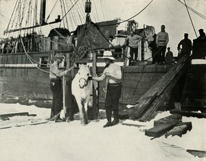 Wysiadanie z kucyków, c19101913, 1913 autorstwa Herbert Ponting