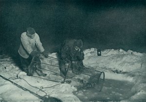 Dr Atkinson i Clissold wyciągają pułapkę na ryby, 28 maja 1911, 1913 autorstwa Herbert Ponting