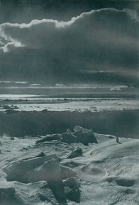 Scena wieczorna w stadzie, c19101913, 1913 autorstwa Herbert Ponting