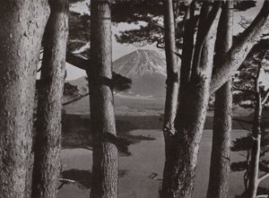 Fuji przez sosny (zdjęcie czarno-białe) autorstwa Herbert Ponting