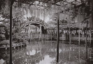 Kameido (zdjęcie czarno-białe) autorstwa Herbert Ponting