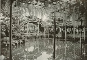 Kameido, 1910. autorstwa Herbert Ponting