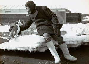 Człowiek z pingwinem podczas angielskiej wyprawy na Antarktydę autorstwa Herbert Ponting