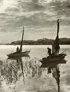 Nad Zatoką Tokijską, 1910. autorstwa Herbert Ponting