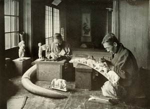 Rzeźbiarze z kości słoniowej, 1910. autorstwa Herbert Ponting
