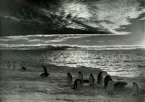 Północne słońce w McMurdo Sound, c19101913, 1913 autorstwa Herbert Ponting