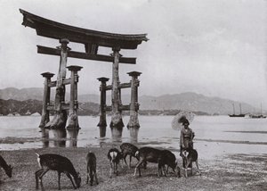 Stare Torii w Miyajima (zdjęcie czarno-białe) autorstwa Herbert Ponting