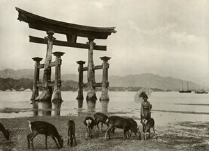 Stare Torii w Miyajima, 1910. autorstwa Herbert Ponting