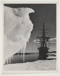 Terra Nova at the Ice Foot (druk bromowy) autorstwa Herbert Ponting