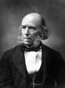 Herbert Spencer, 1888 r.