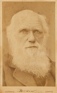 Portret Karola Darwina 1809-1882, 1881.