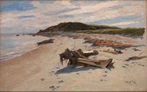 Cape Cod, Plaża, 1894.