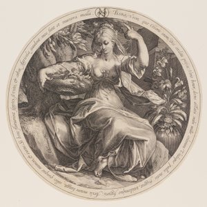 Flora autorstwa Herman Jansz. Muller