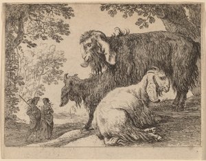 Owca angora autorstwa Herman van Swanevelt